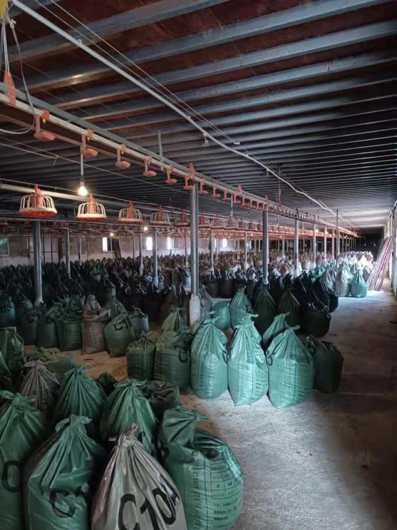 广东鸡粪长期有货货源充足基地直供质量保证诚信经营需要联系