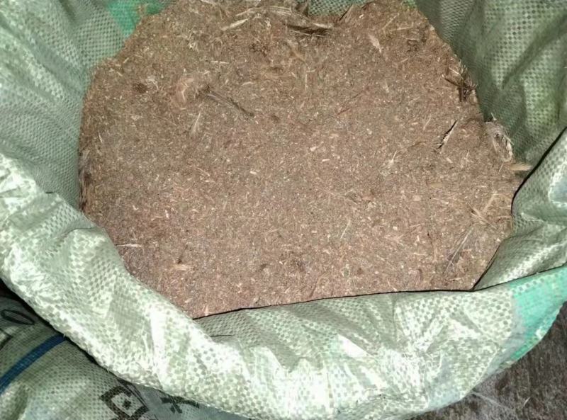 广东鸡粪长期有货货源充足基地直供质量保证诚信经营需要联系