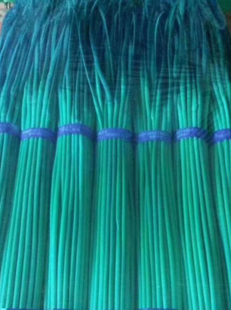 邳州精品小红帽蒜苔即将大量上市价格不高适合发每个市场
