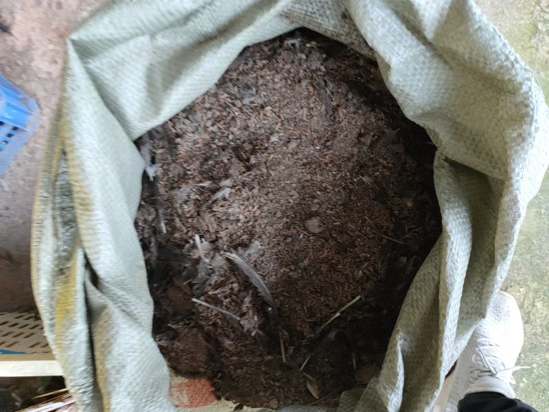 广东鸡粪长期有货货源充足基地直供质量保证诚信经营需要联系