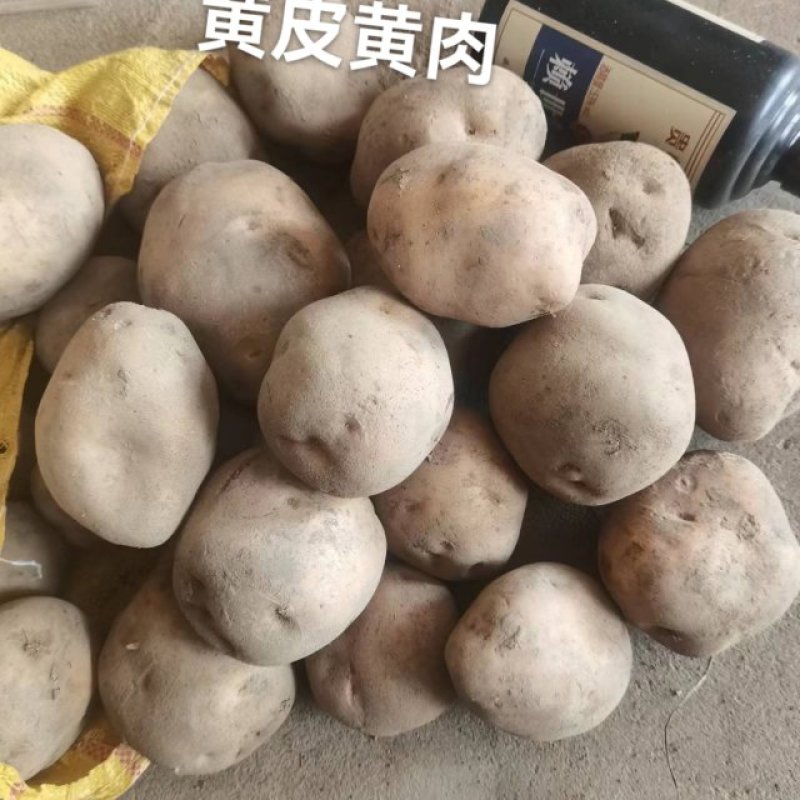 杠三七
