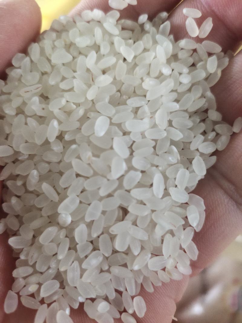 河南原阳大米老张农副产品商行量大从优欢迎电话咨询