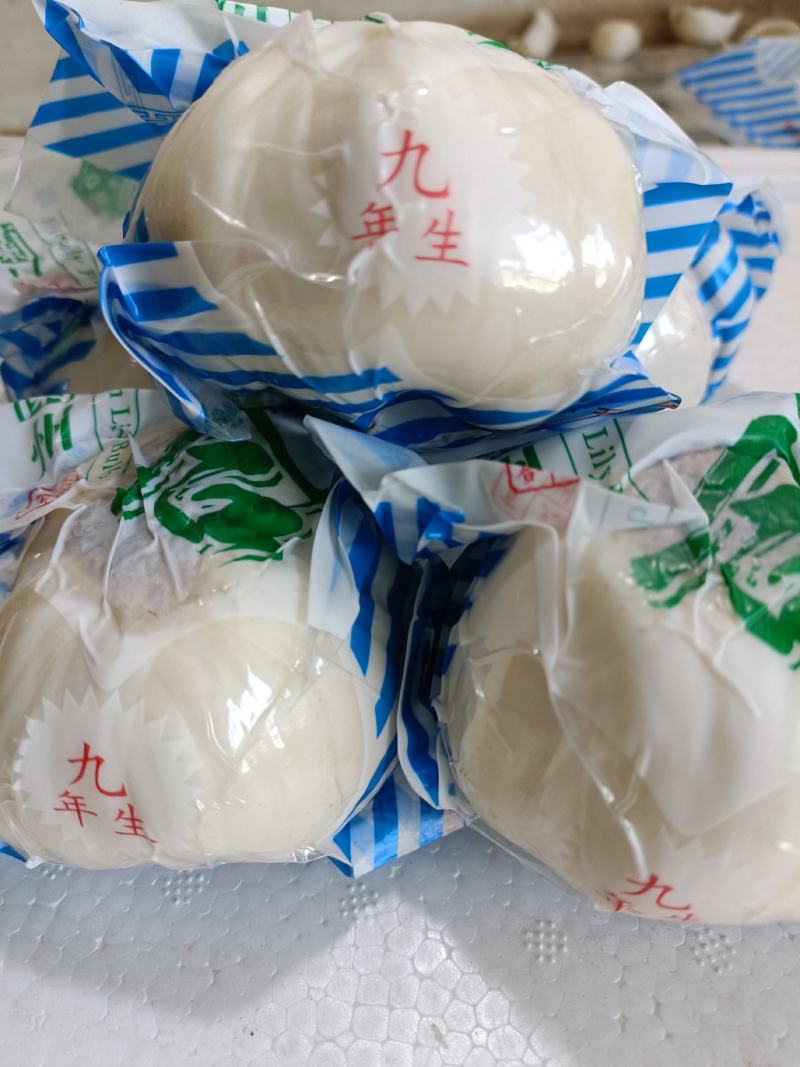 兰州鲜百合九年生，独头皇，产地直销，量大从优，