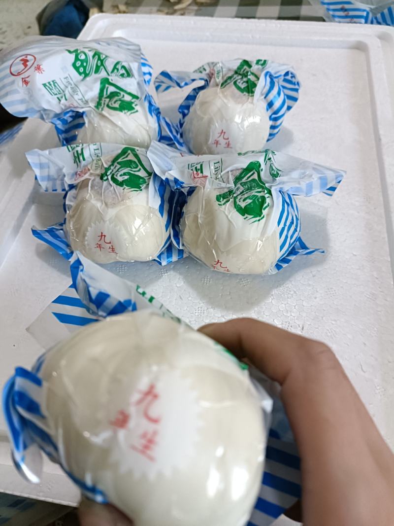 兰州鲜百合九年生，独头皇，产地直销，量大从优，