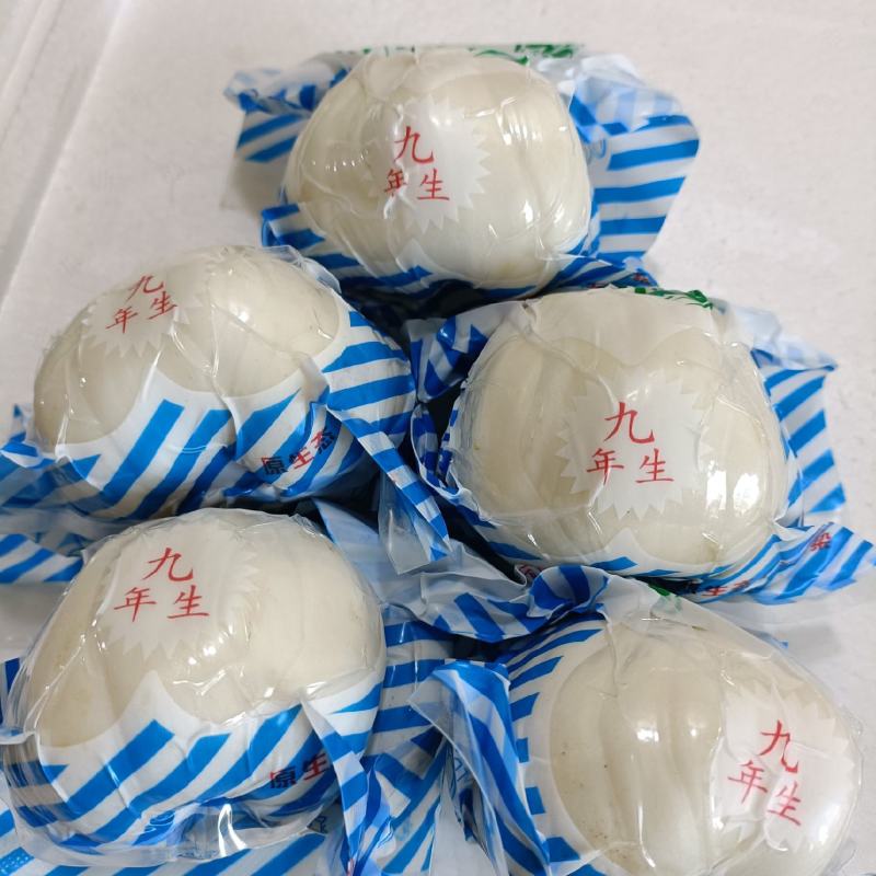 兰州鲜百合九年生，独头皇，产地直销，量大从优，