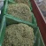 金银花中药二花河南金银花干货新货无硫花茶金银花