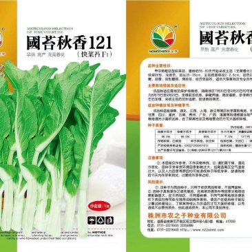 中早熟粗苔型快菜苔，播种后55天一一60天采收主苔，…。