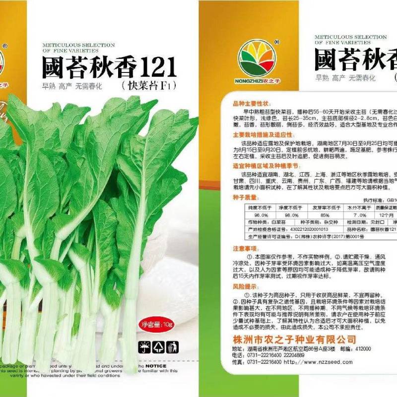 中早熟粗苔型快菜苔，播种后55天一一60天采收主苔，…。