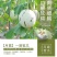 精品月露蜜瓜产地直供大量上市欢迎老板选购