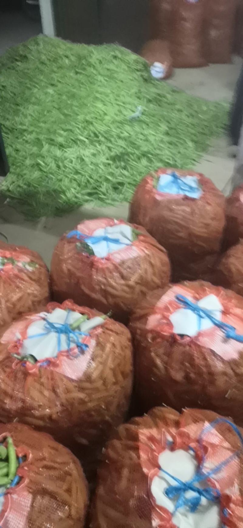 中豌6号，中豌9号豌豆角正在大量上市中，货量稳定欢迎订购