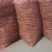 中豌6号，中豌9号豌豆角正在大量上市中，货量稳定欢迎订购