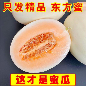 【东方蜜甜瓜】浙江甜瓜大量供应～价格优惠～可全国发货