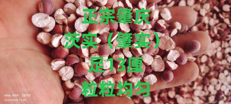 芡实肇实本地货各种规格新货无硫无碎省内包邮
