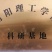 南阳大叶品种艾苗艾草合作社常年供种苗免费提供技术下单包邮