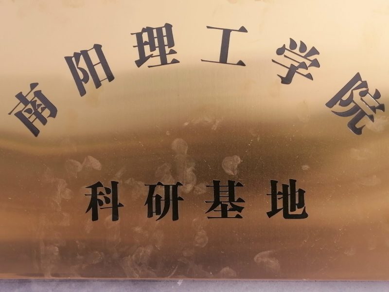 南阳大叶品种艾苗艾草合作社常年供种苗免费提供技术下单包邮