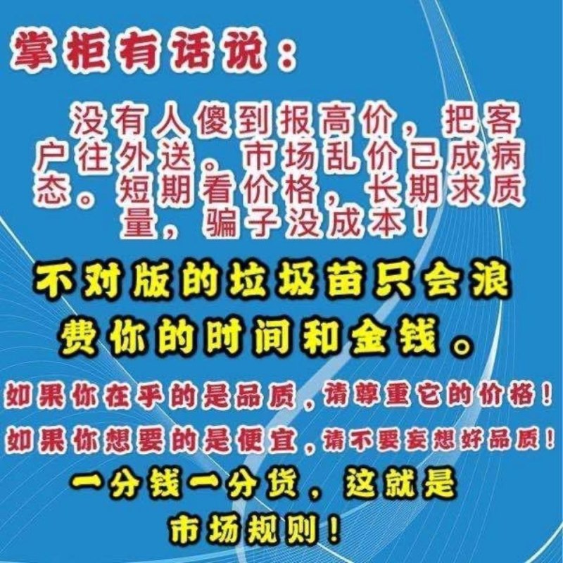 软枣猕猴桃苗树南北方种植正宗软枣子盆栽地栽龙城二号营养杯