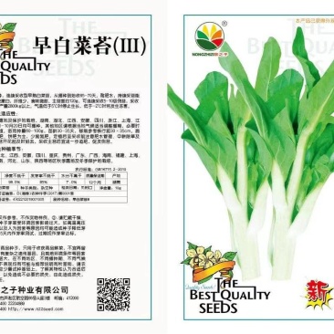 早白菜苔杂交一代品种，从播种到采收65一70天……。。。