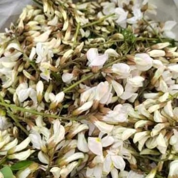 槐花