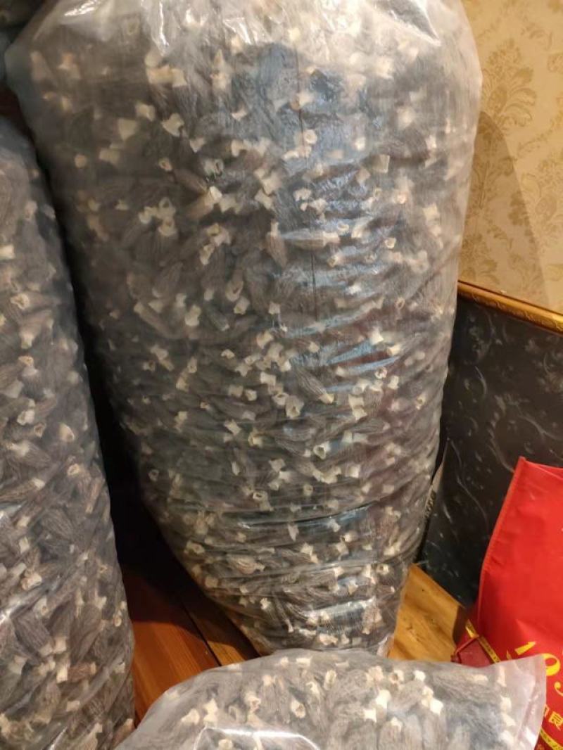 羊肚菌干货，头茬大黑货有剪柄的带柄的大小规格诚信经营。