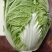 黄心大白菜，物美价廉，营养丰富