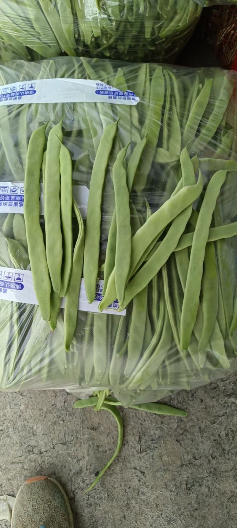 山东精品芸豆，货源充足稳定，量大从优，常年供货