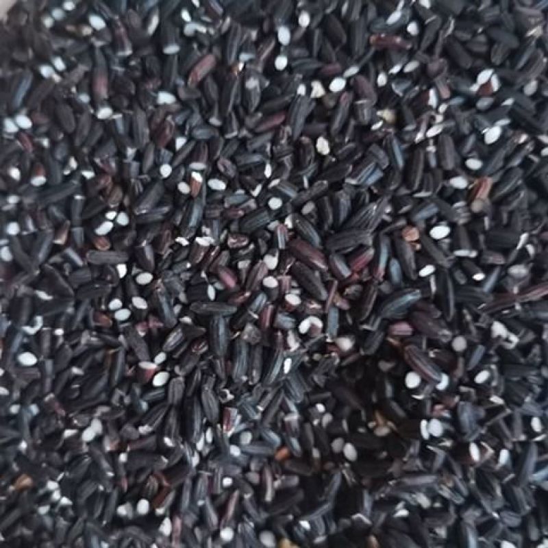黑米碎，东北黑碎米，可熬粥，可磨粉，磨粉专用。