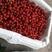 汉源精品樱桃黑珍珠樱桃小樱桃产地直供保质保量