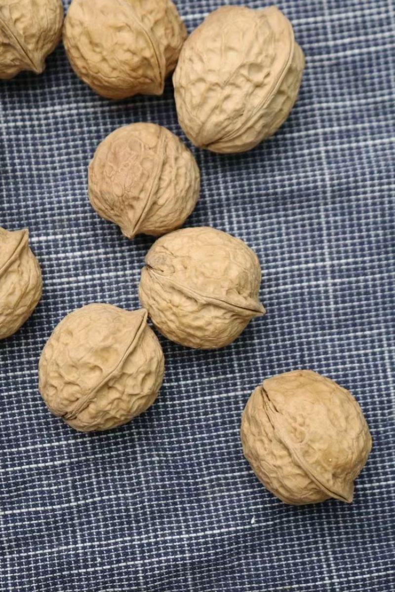 广州人103云南薄皮核桃精品核桃薄壳一件代发批发货源