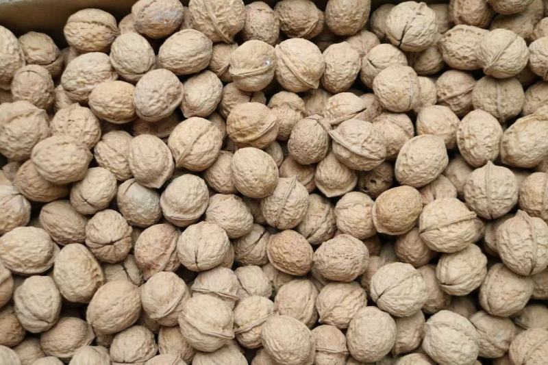 广州人103云南薄皮核桃精品核桃薄壳一件代发批发货源