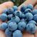 云南野生小蓝莓，蓝雨，脆甜，果香味浓郁，味道即好，非常好