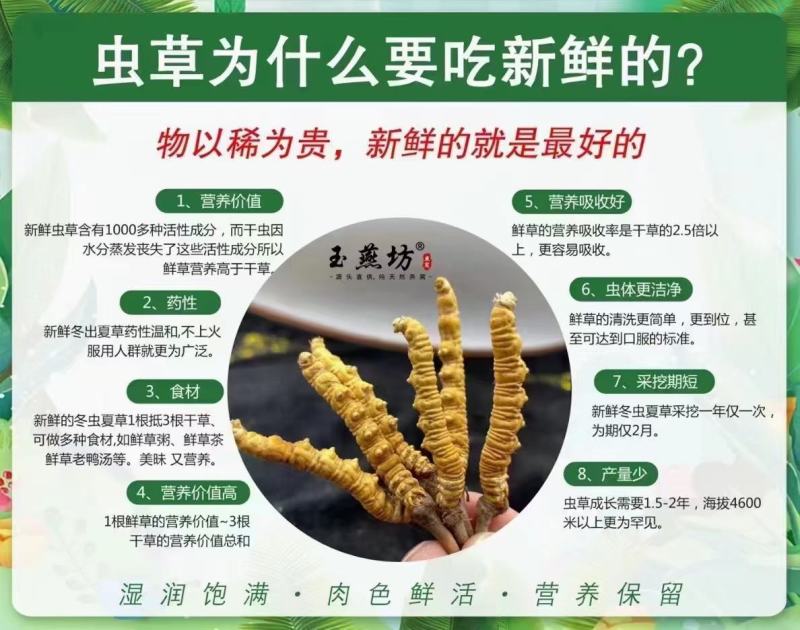 抵制疫情，身体棒棒的…冬虫夏草