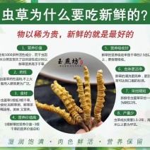 抵制疫情，身体棒棒的…冬虫夏草