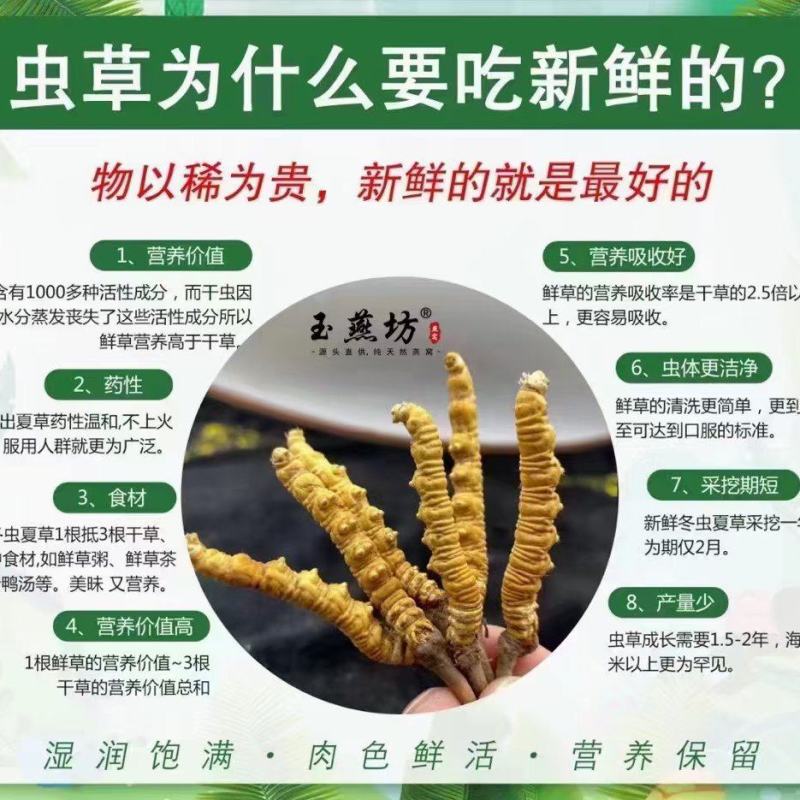 抵制疫情，身体棒棒的…冬虫夏草