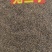 菟丝子