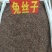 菟丝子