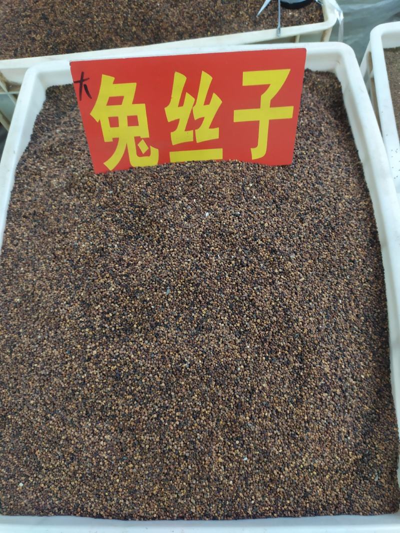 菟丝子
