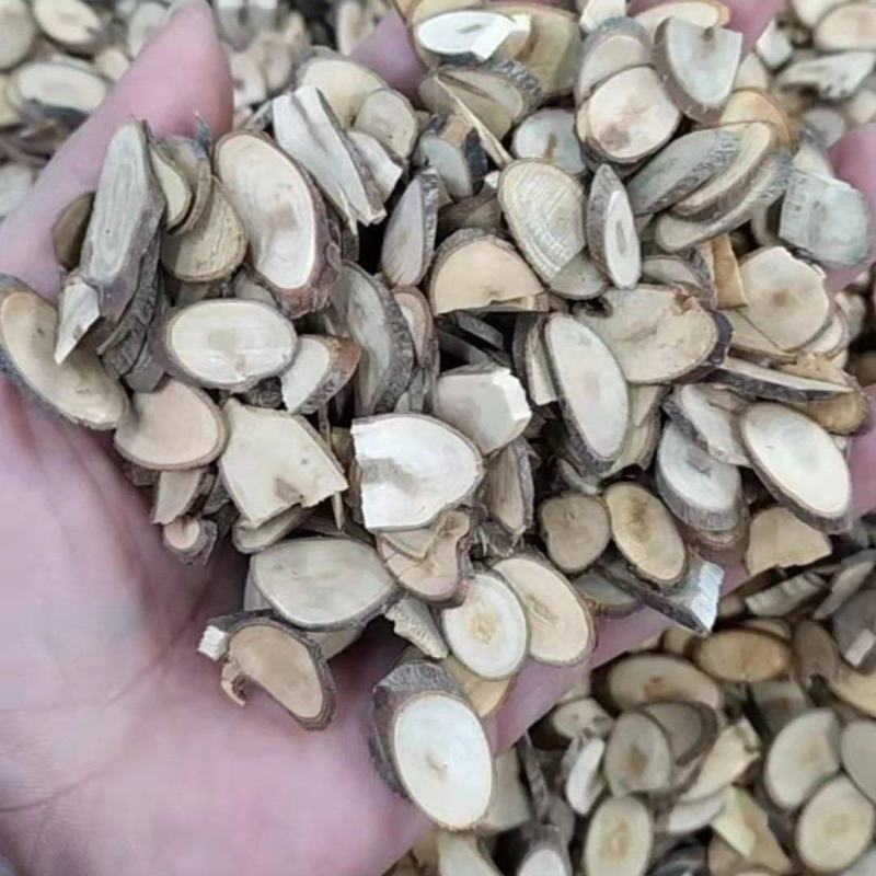 桂枝中片