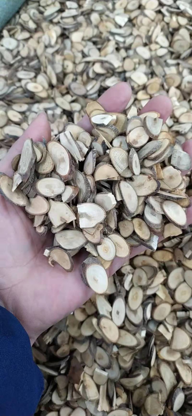 桂枝中片