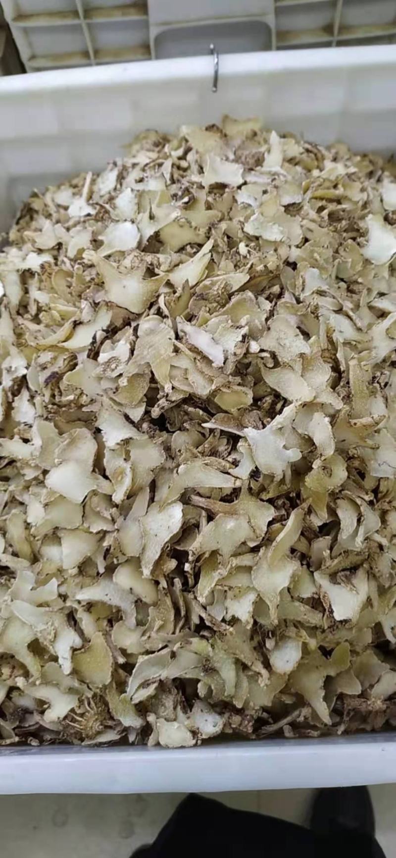 白芨