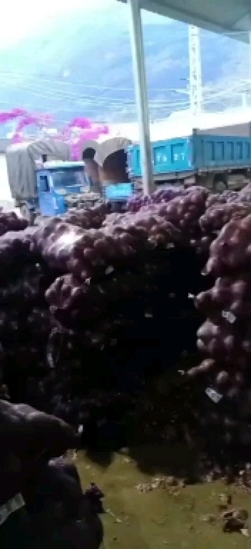 洋葱无线量有货合作共赢的来