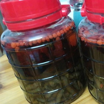 纯粮酿造蒸制野生巴戟天酒