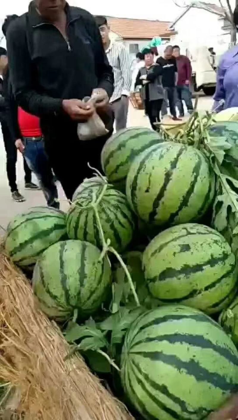 西瓜上市京新甜王薄皮多汁包熟包甜沙瓤价格优惠全国发货