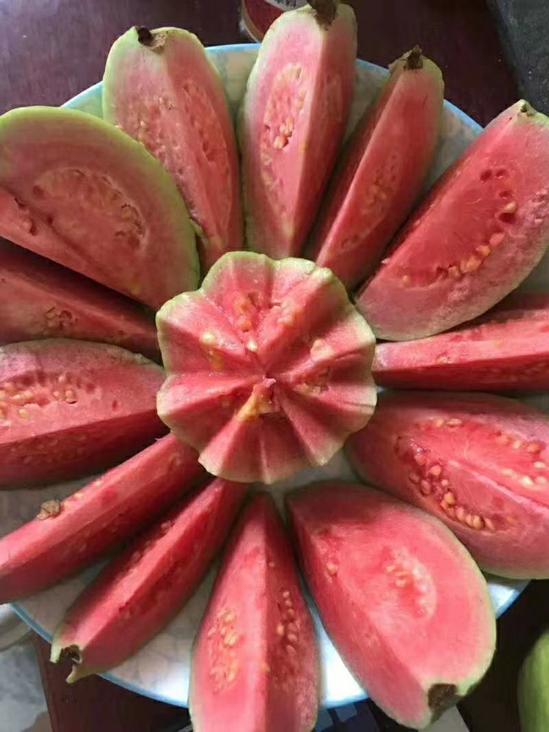 红心芭乐～低糖水果，网红水果，适合各类人群食用