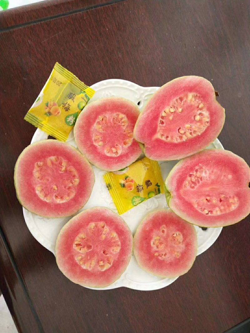 红心芭乐～低糖水果，网红水果，适合各类人群食用