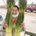 2026蒜苔产地直供，对接各大超市，及农贸市场干苔不泡水