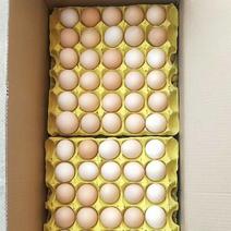农家散养新鲜正宗草鸡蛋笨柴鸡蛋360枚整箱