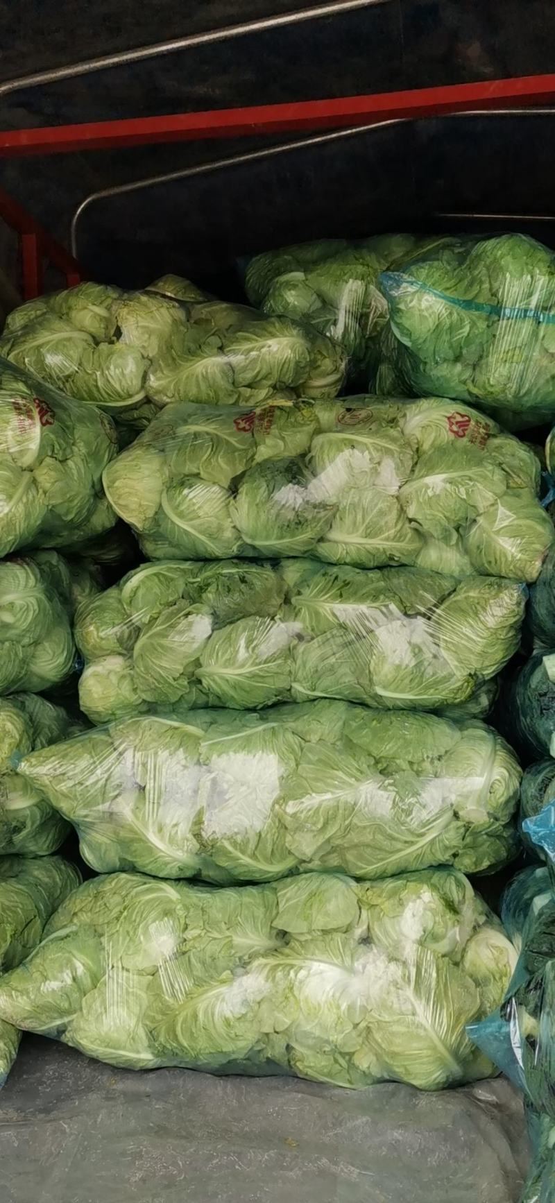 牛心甘兰己大量上，品质好，质量好，包的紧，无虫眼，个大，