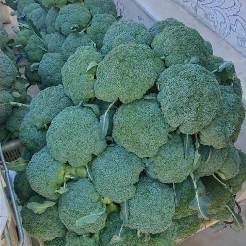 西兰花，小米粒，颜秀西兰花，万亩基地，全国代发代收