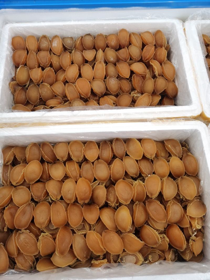 鲍鱼干，大连鲍鱼干，肉厚有劲道，品质保证