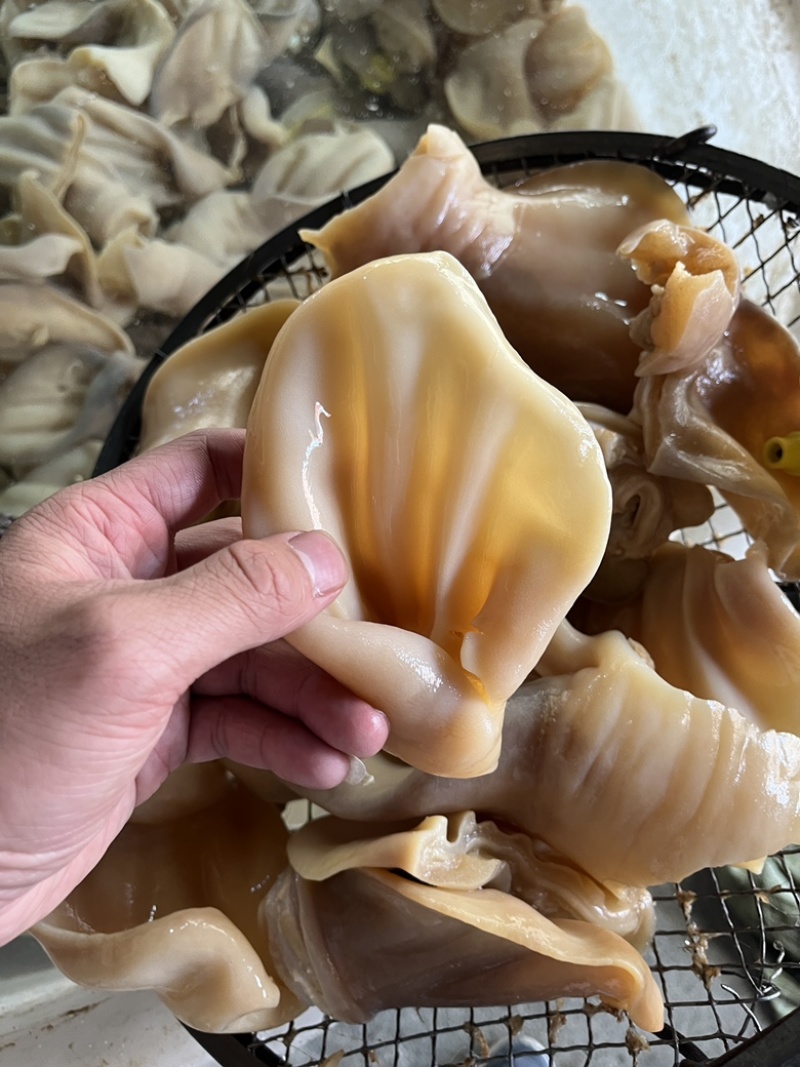 牛耳牛耳片颜色鲜亮货新鲜全国冷藏运输快递直达欢迎